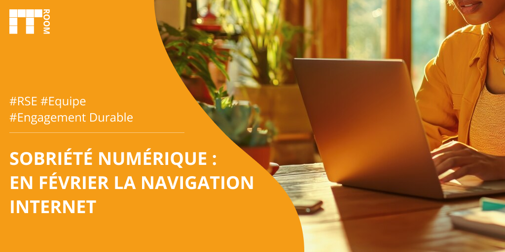 Sobriété Numérique : En Février la navigation internet.